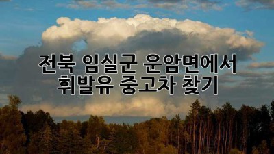전북 임실군 운암면에서 휘발유 중고차 찾기