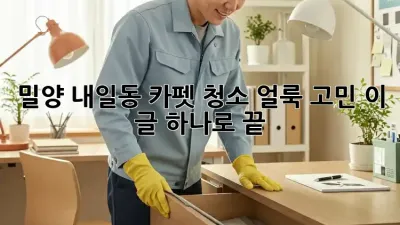밀양 내일동 카펫 청소🧹 얼룩 고민? 이 글 하나로 끝!